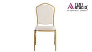 Furniture 16 Banquet Chair Supplier in Patna